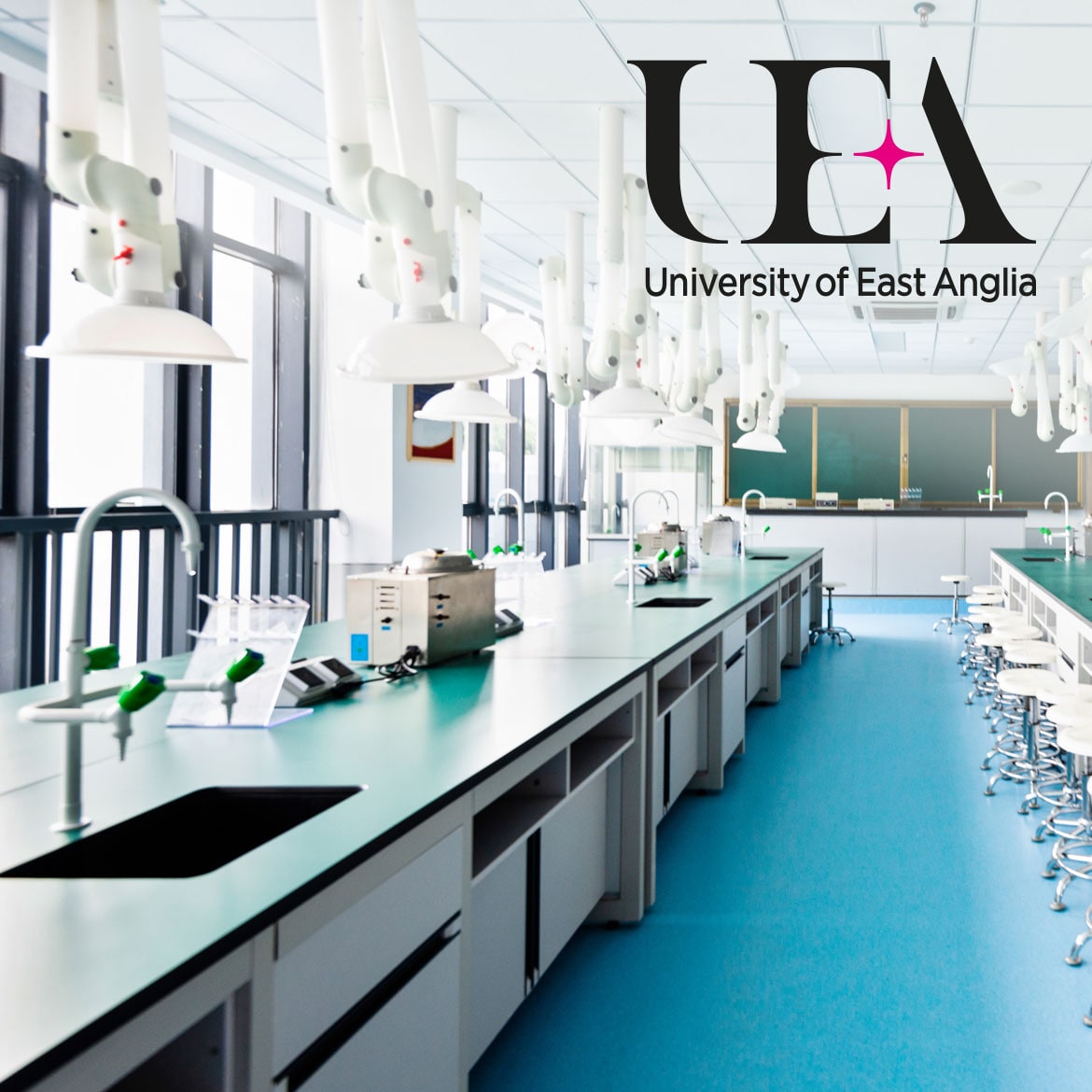 University of East Anglia