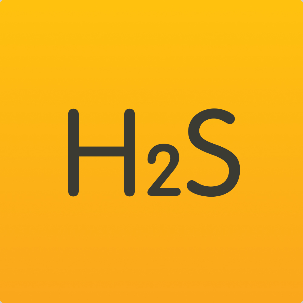 Hydrogen Sulphide (H2S)