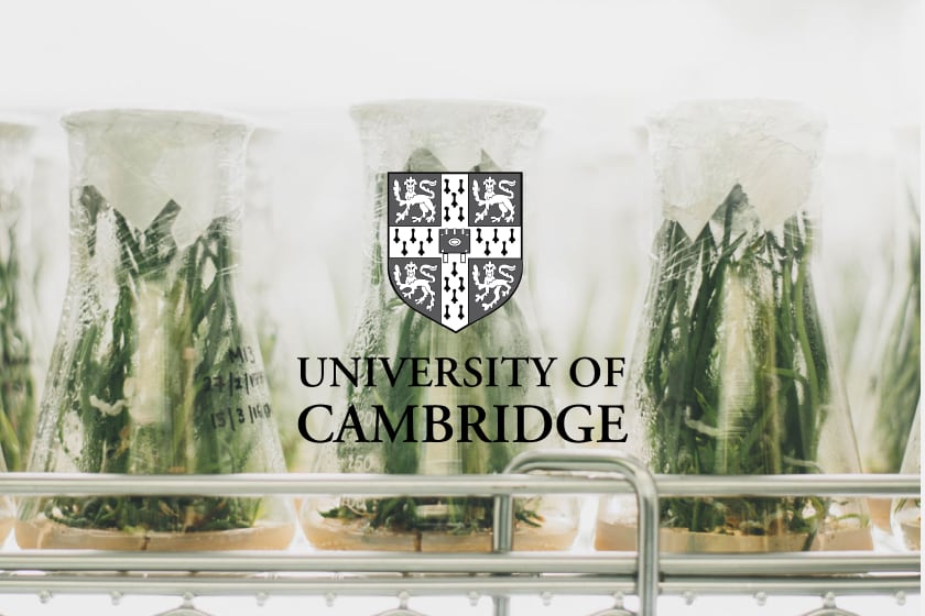 Oxygen Depletion Gas Detection System for Cambridge University